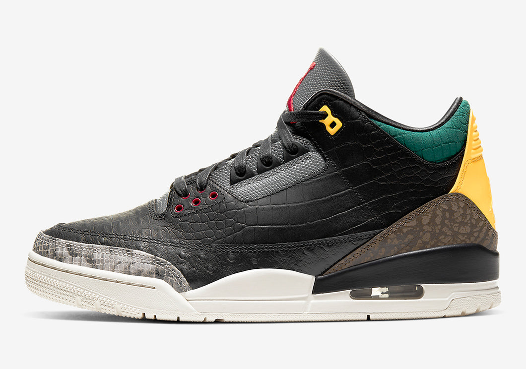 Air Jordan 3 Retro SE 