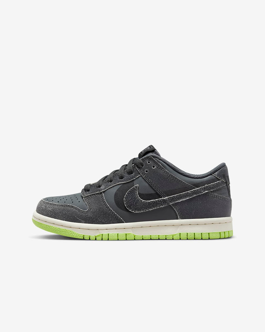 Nike	Dunk Low SE GS 